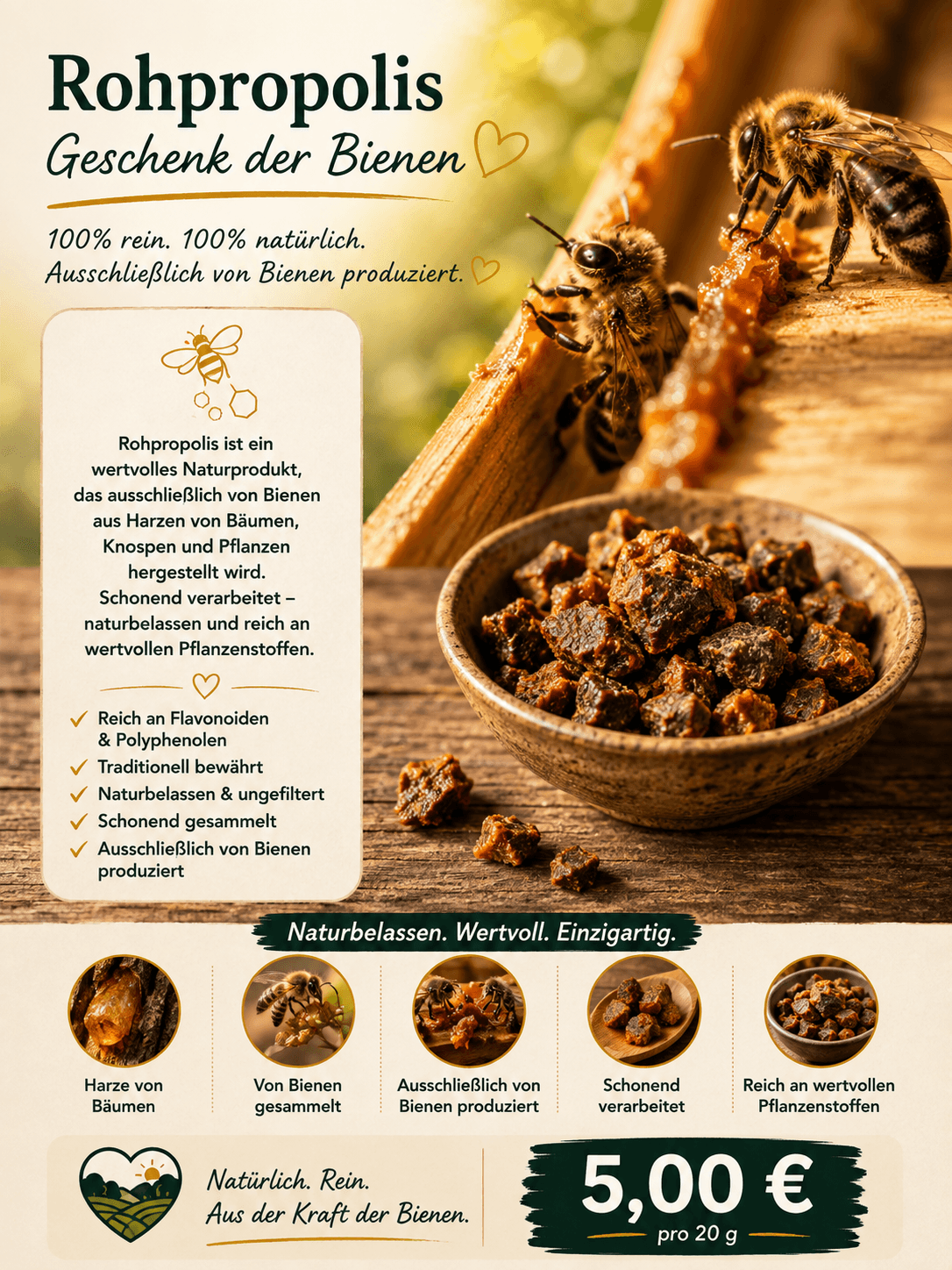 Rohpropolis – Geschenk der Bienen: naturbelassen, wertvoll, einzigartig